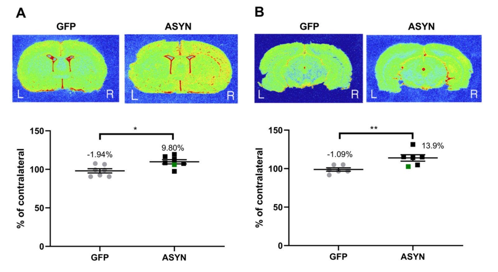 Published figure with two panels. A: [3H]PK11195 autoradiograms of rat brain sections at the striatum, GFP control and α-synuclein, with a graph showing binding on the injected side as a percentage of the other side: minus 1.94% for GFP, 9.80% for α-synuclein. B: the same at the substantia nigra: minus 1.09% for GFP and 13.9% for α-synuclein.